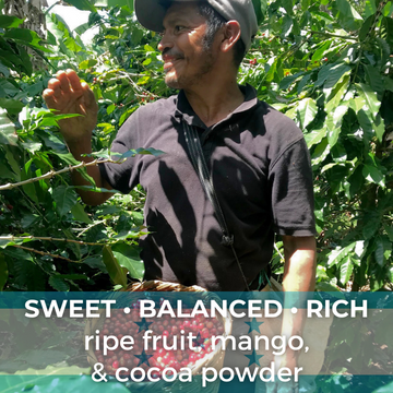 Honduras Marcala Anaerobic Red Honey Organic